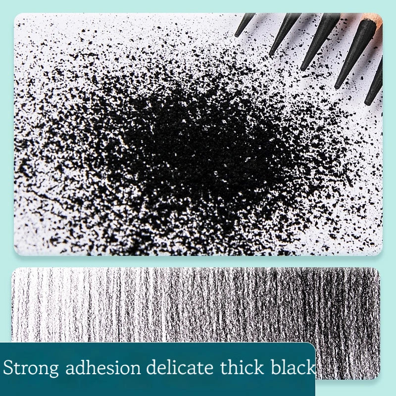 12/10 Pcs Charcoal Graphite Sketch Set Extra-Soft Soft Medium Hard Pencils for Drawing Sketching Shading Artist Art Supplies